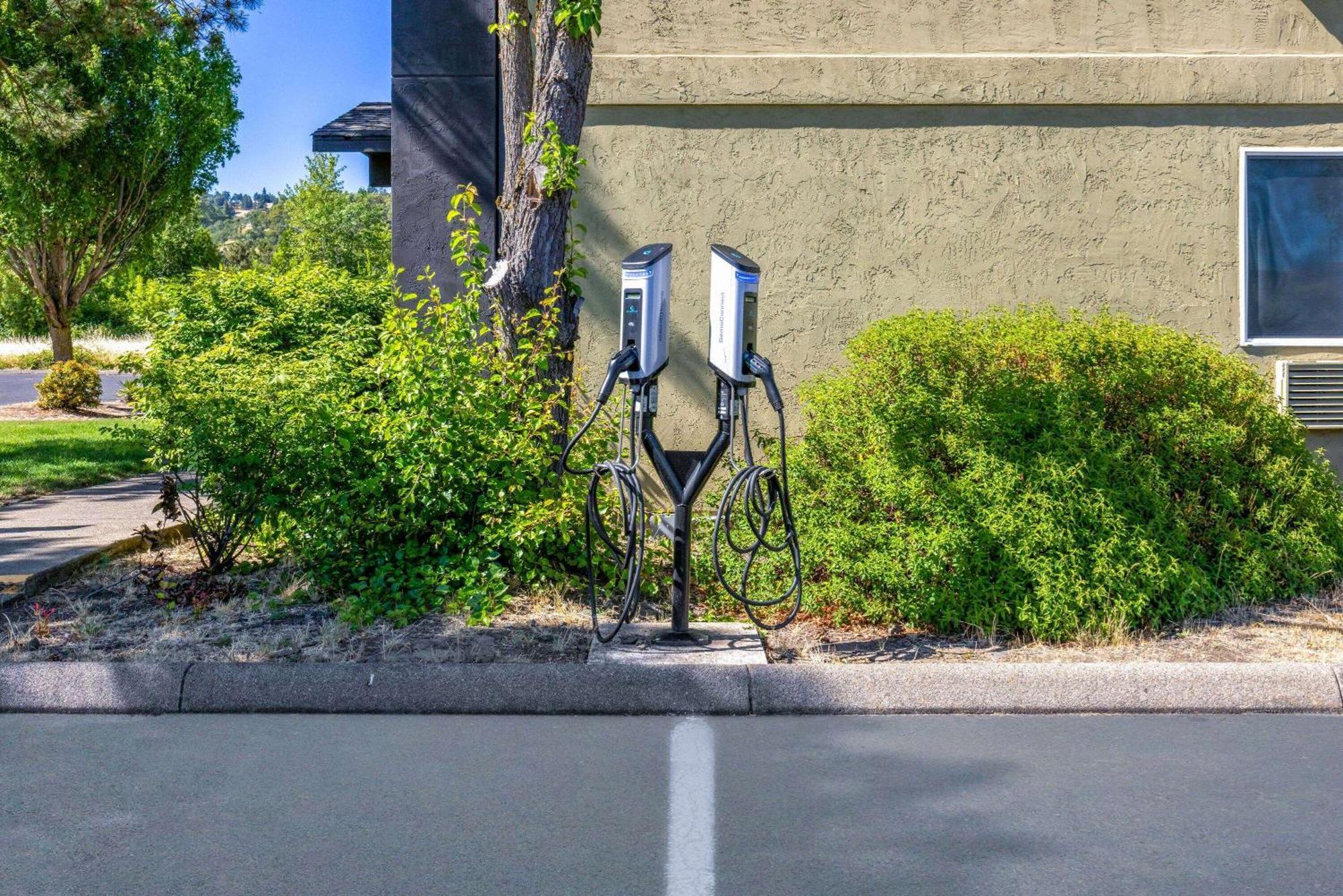 Super 8 By Wyndham Roseburg Ξενοδοχείο Εξωτερικό φωτογραφία